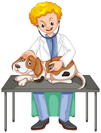 pet image